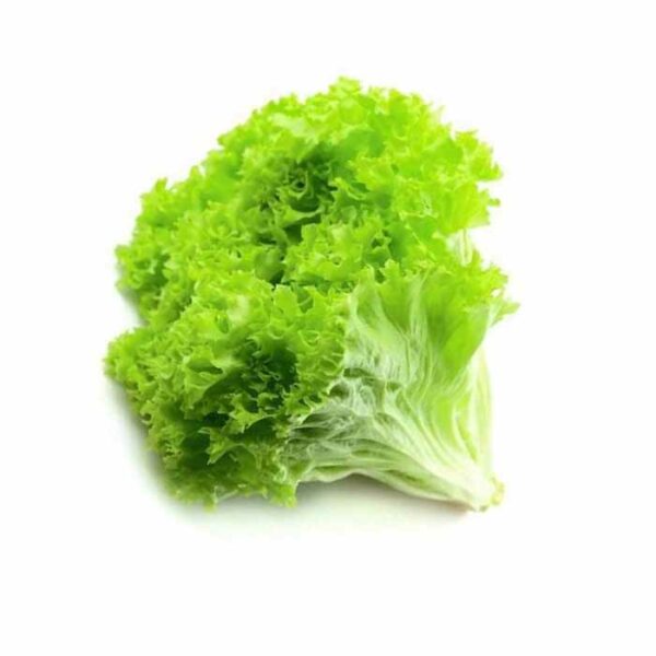 Салат листовой ПМР, 1 шт