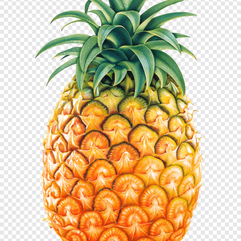 Ананас свежий, шт.